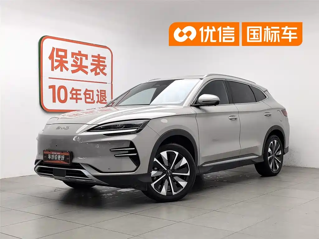 BYD PLUS New Energy 2024