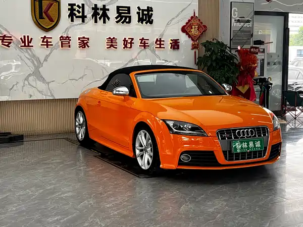 Audi TTS 2010