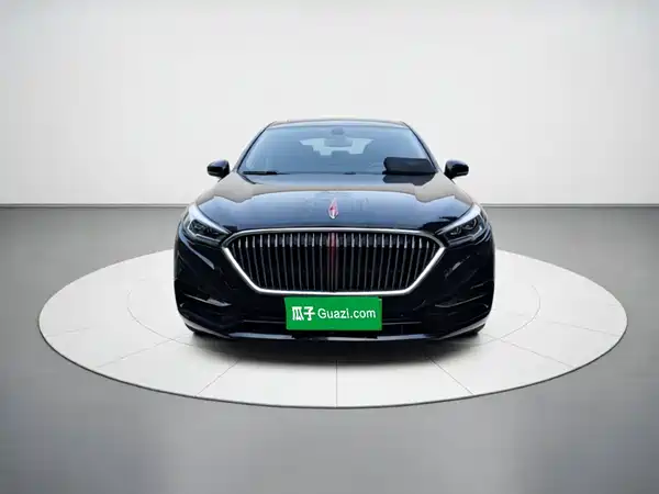 Hongqi H5 2020