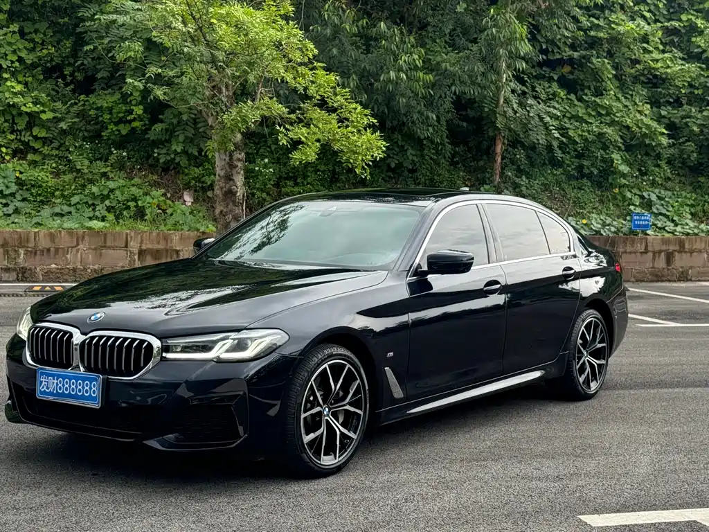 BMW 5 Series 2021