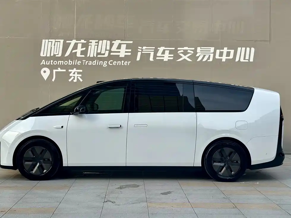 Li Auto Li MEGA 2025