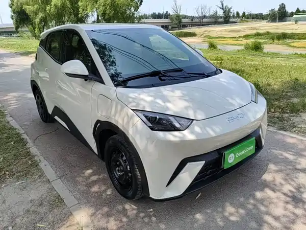 BYD Seagull 2025