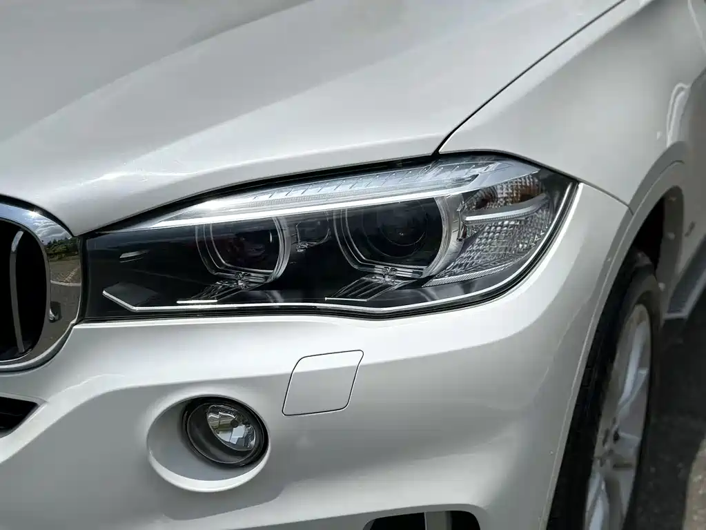 BMW X5 2017 — фото 4
