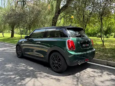 MINI MINI 2019