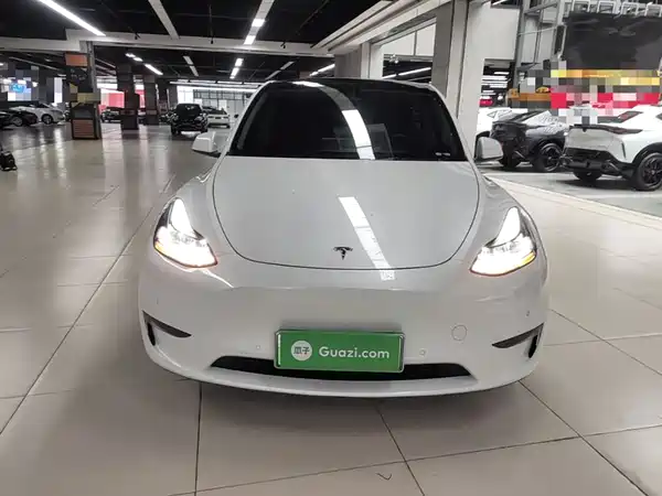 Tesla Model Y 2021