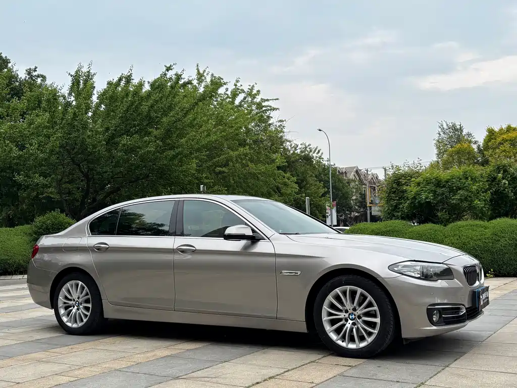 BMW 5 Series 2014 — фото 5