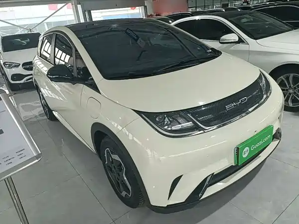 BYD Dolphin 2022