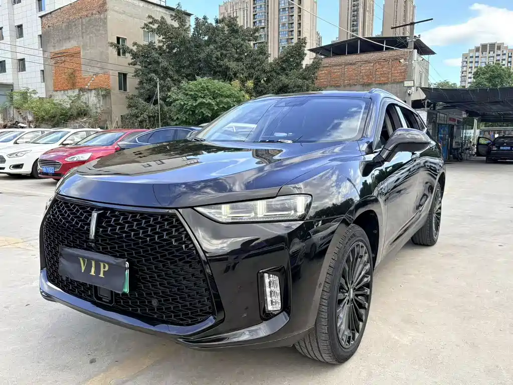 Wey P8 2018