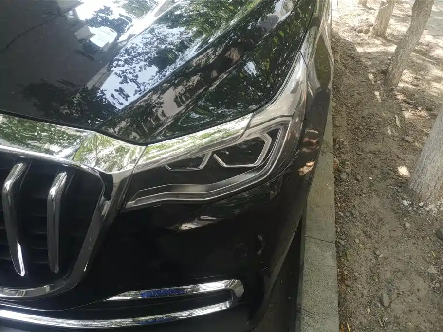 Hongqi HS7 2022