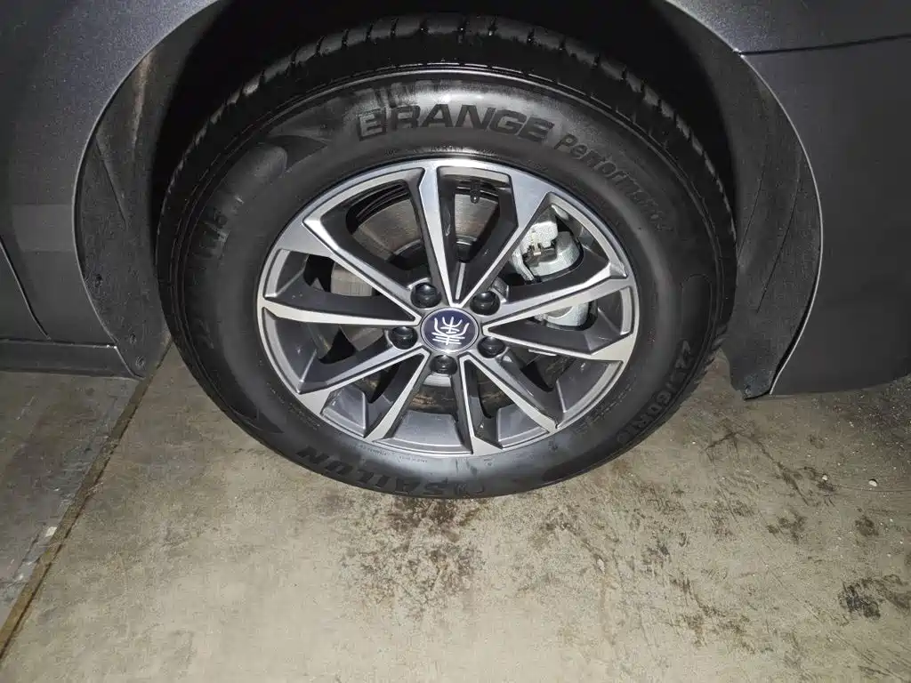 BYD Qin PLUS 2025 — фото 24