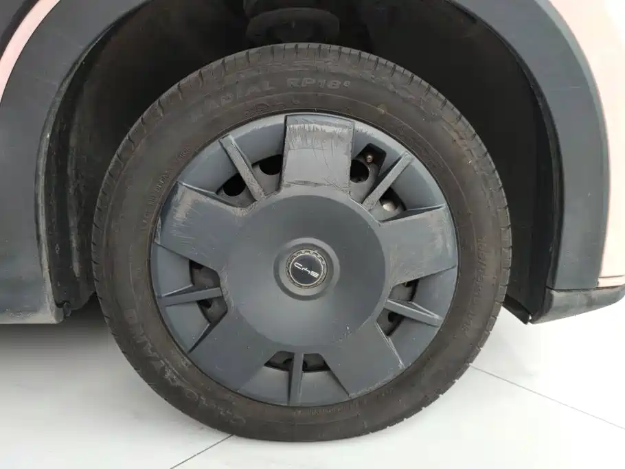 BYD Seagull 2024