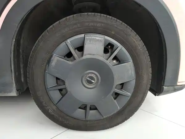 BYD Seagull 2024