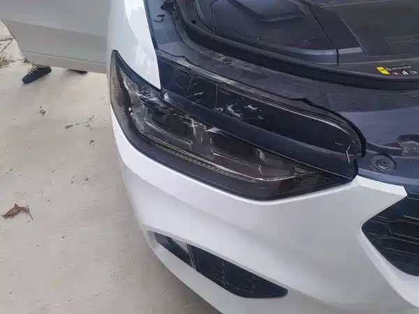 Wey VV5 2019