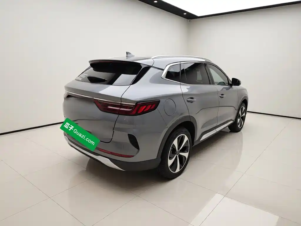 BYD Song PLUS New Energy 2021 — фото 6
