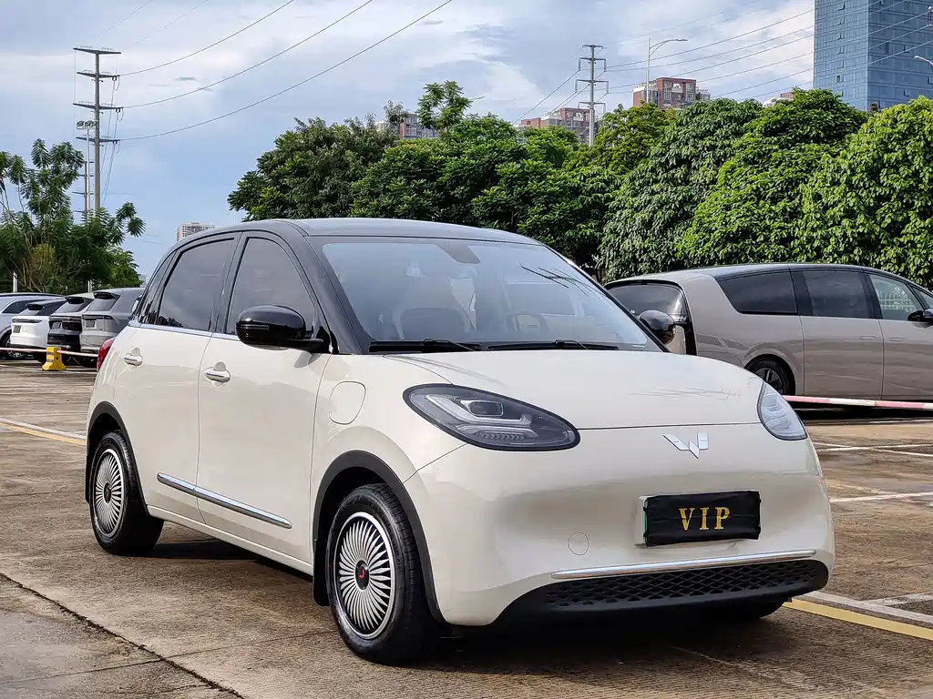 Wuling Bingo 2023