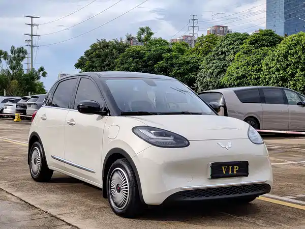 Wuling Bingo 2023