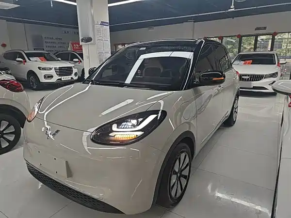 Wuling Bingo 2024