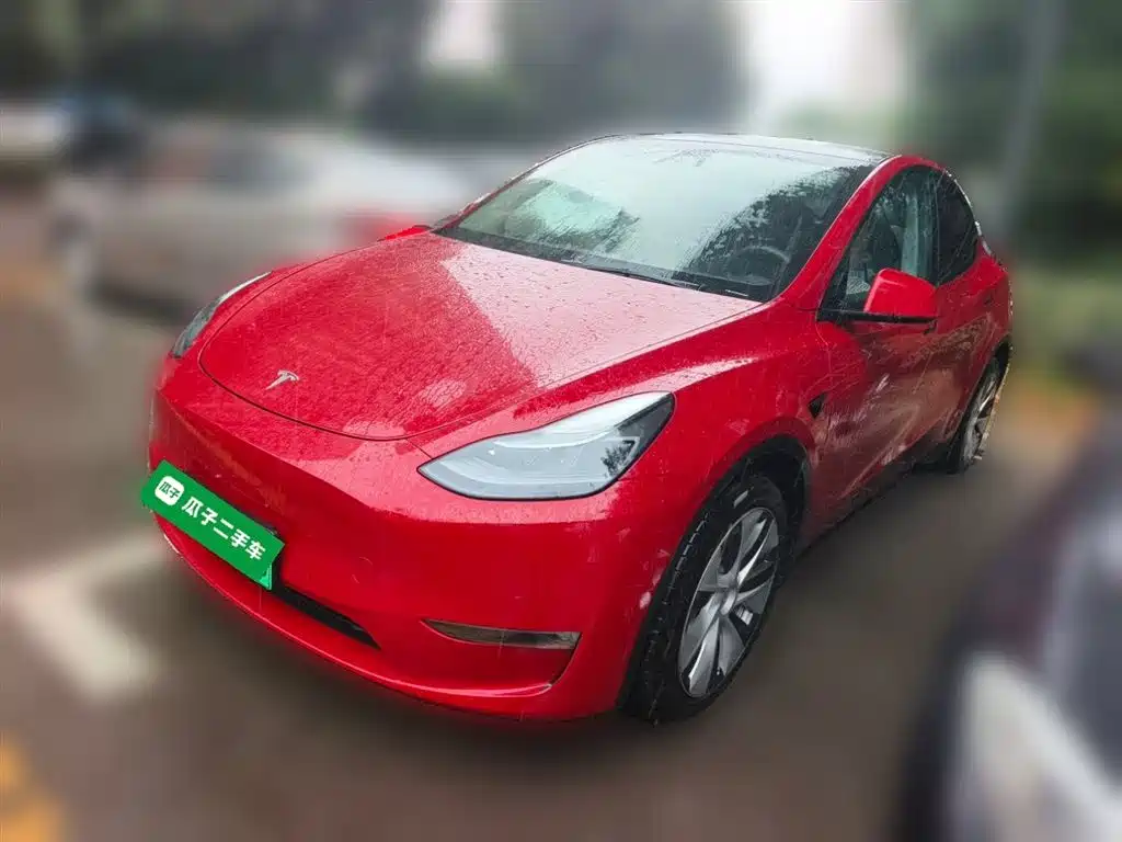 Tesla Model Y 2021 — фото 2