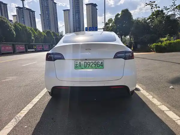Tesla Model Y 2021