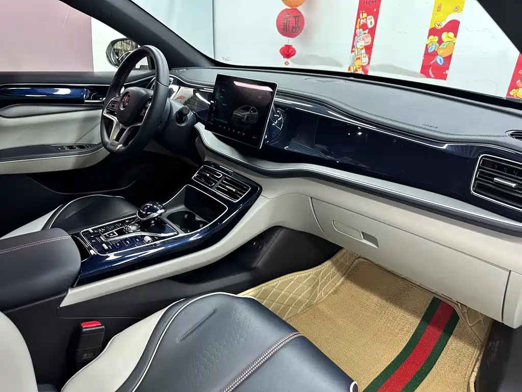 BYD Qin PLUS 2022 — фото 19