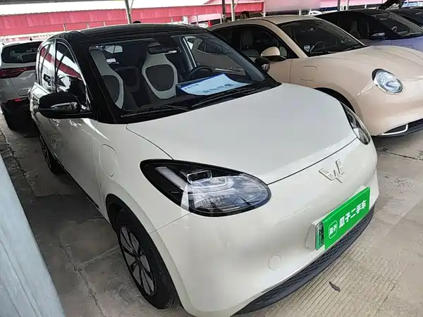 Wuling Bingo 2024