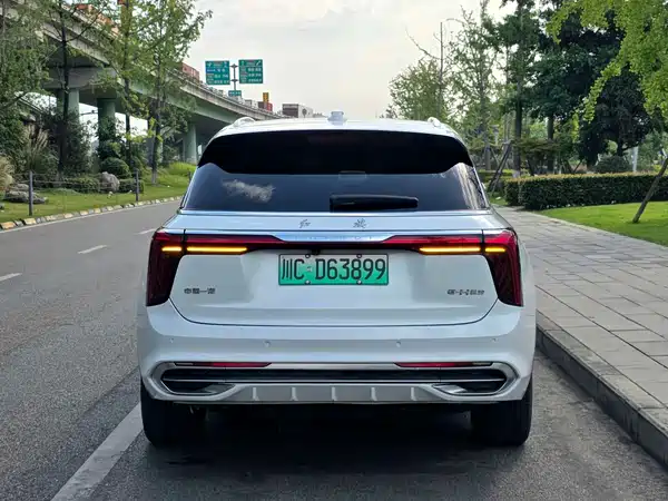 Hongqi E-HS9 2022