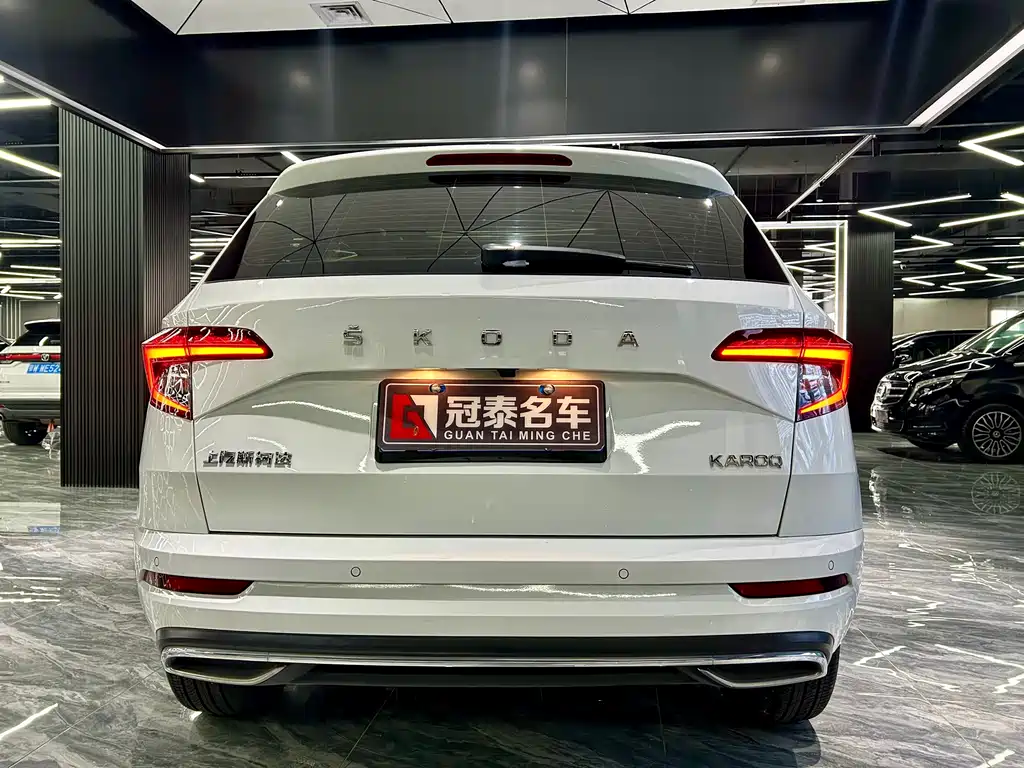 Skoda Karoq 2024