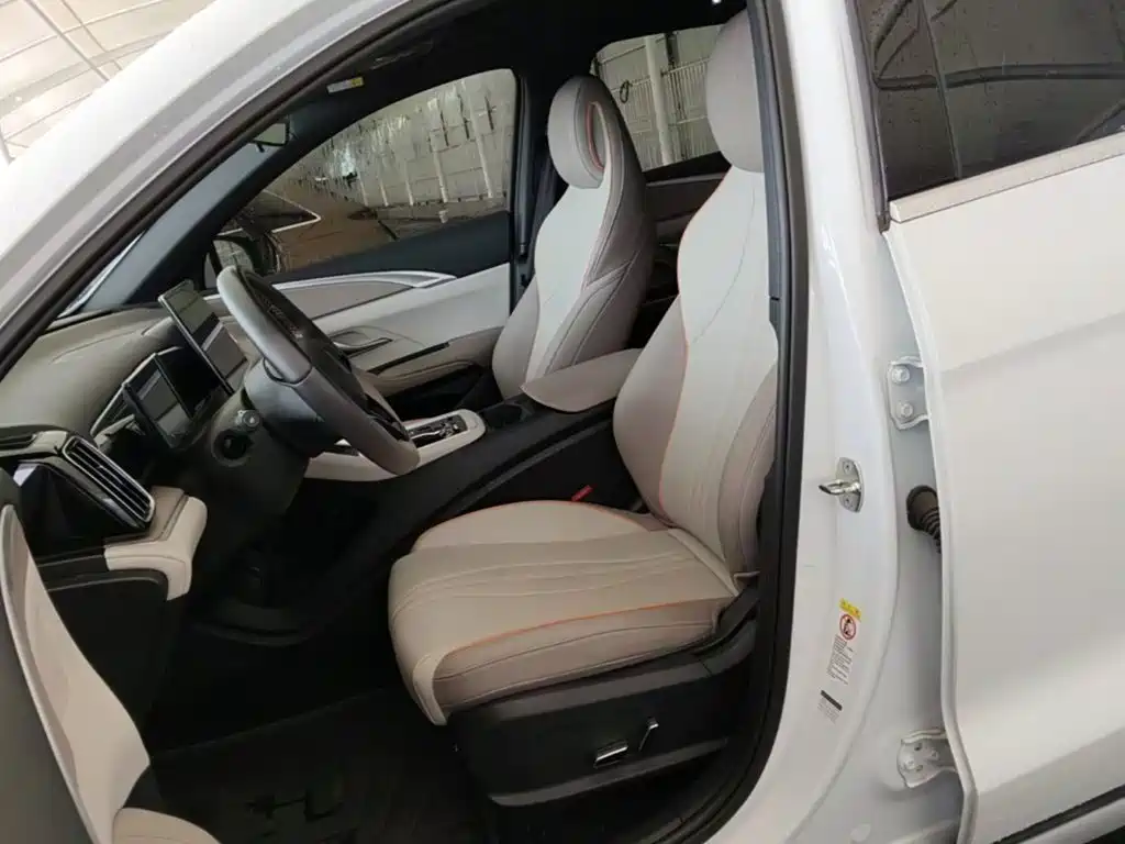 BYD Song Pro New Energy 2025 — фото 15