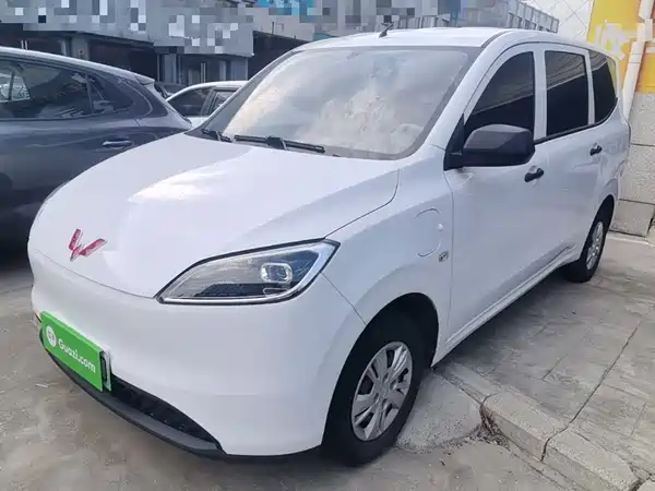Wuling Hongguang New Energy 2024
