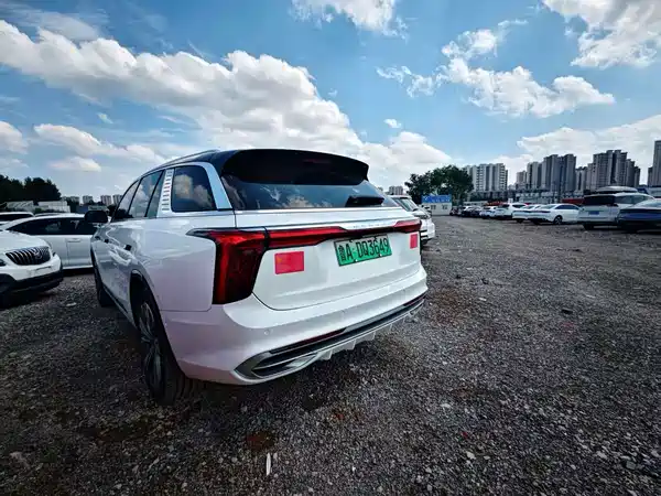 Hongqi E-HS9 2022