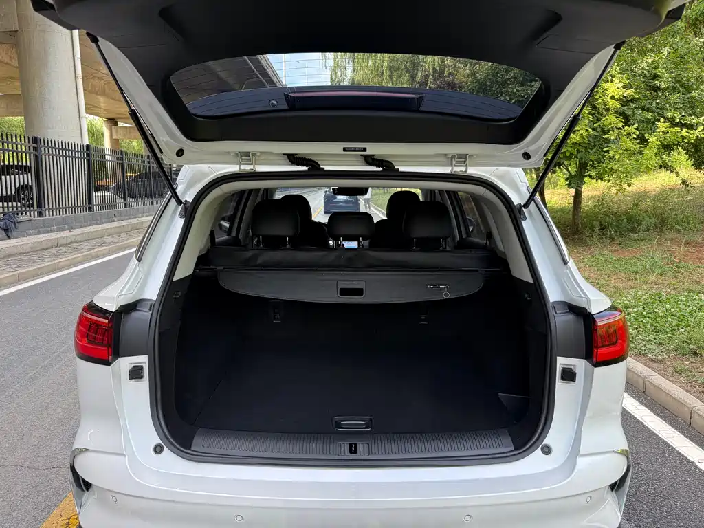 Roewe RX5 MAX 2020 — фото 22