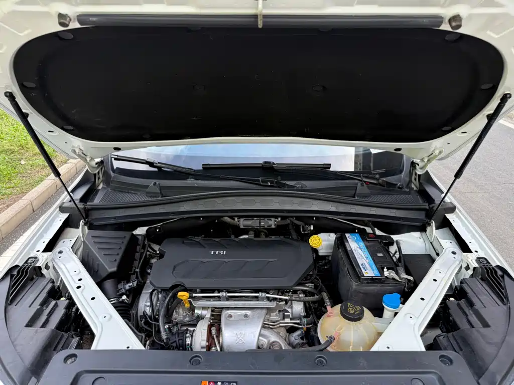 Roewe RX5 MAX 2020 — фото 19