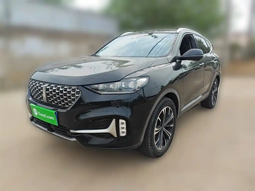 Wey VV6 2021