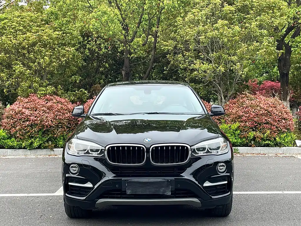 BMW X6 2017 — фото 2