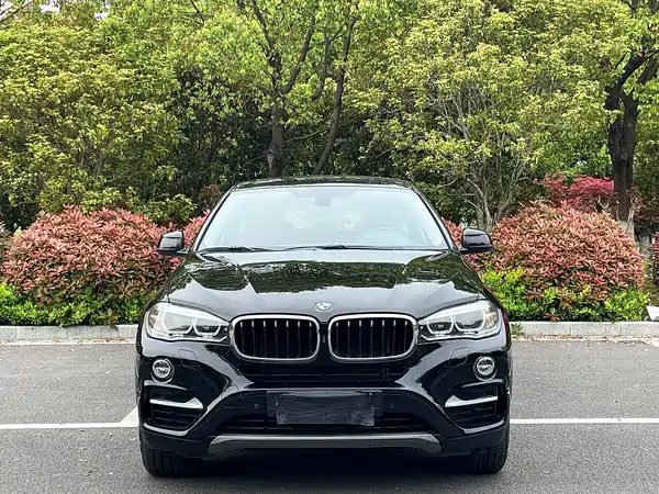 BMW X6 2017