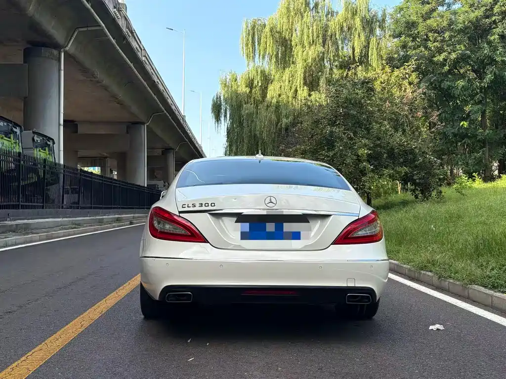 Mercedes-Benz CLS 2014 — фото 11