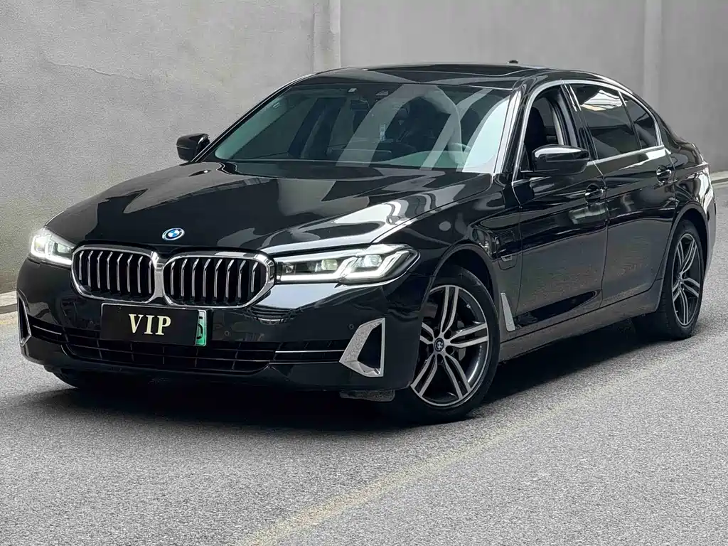 BMW 5 Series New Energy 2022