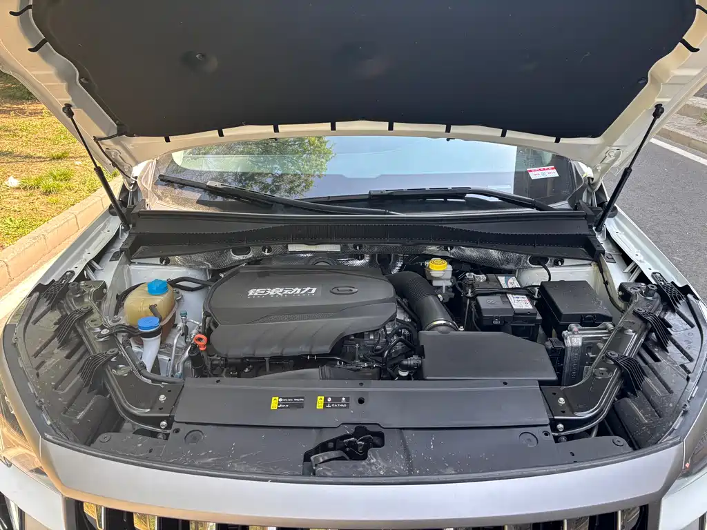 GAC Motor GS4 Plus 2023 — фото 17