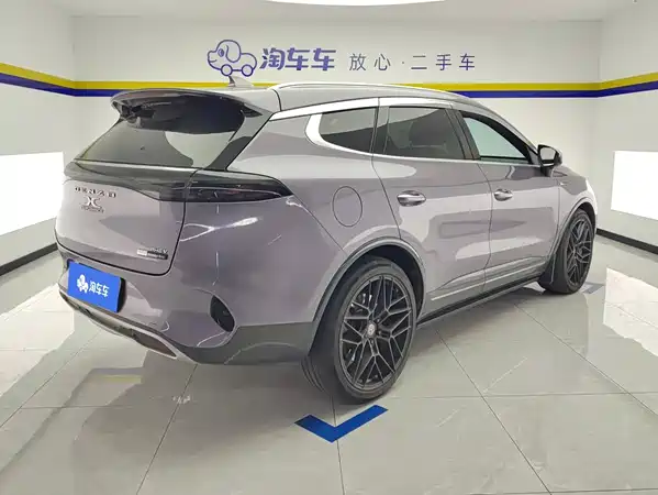 Denza X 2020