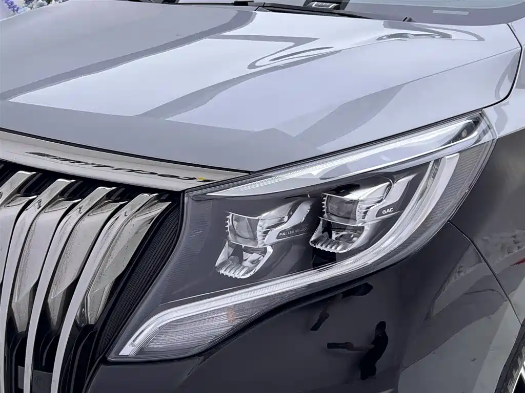 GAC Motor Trumpchi M8 2022 — фото 13