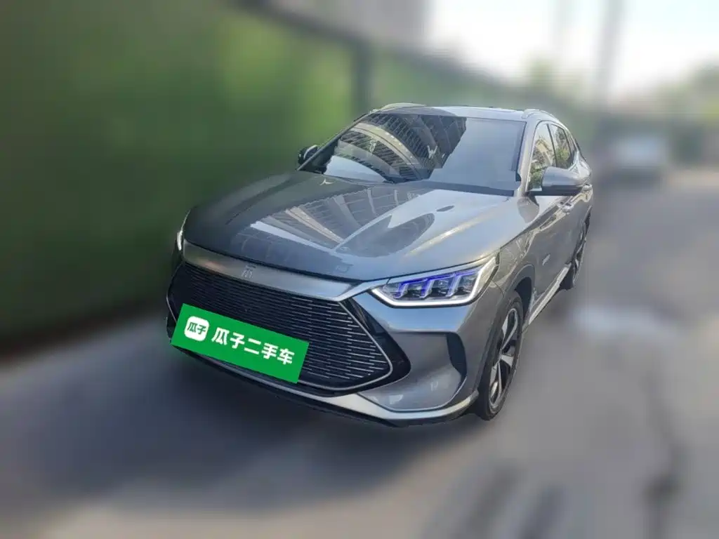 BYD Song PLUS New Energy 2021 — фото 1