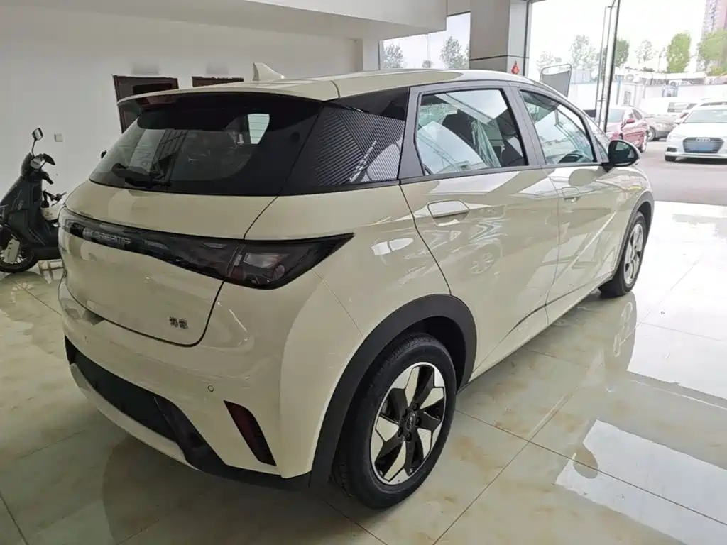 BYD Dolphin 2026