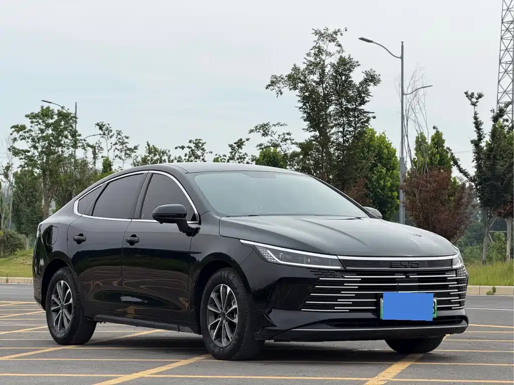 BYD Destroyer 05 2024 — фото 2