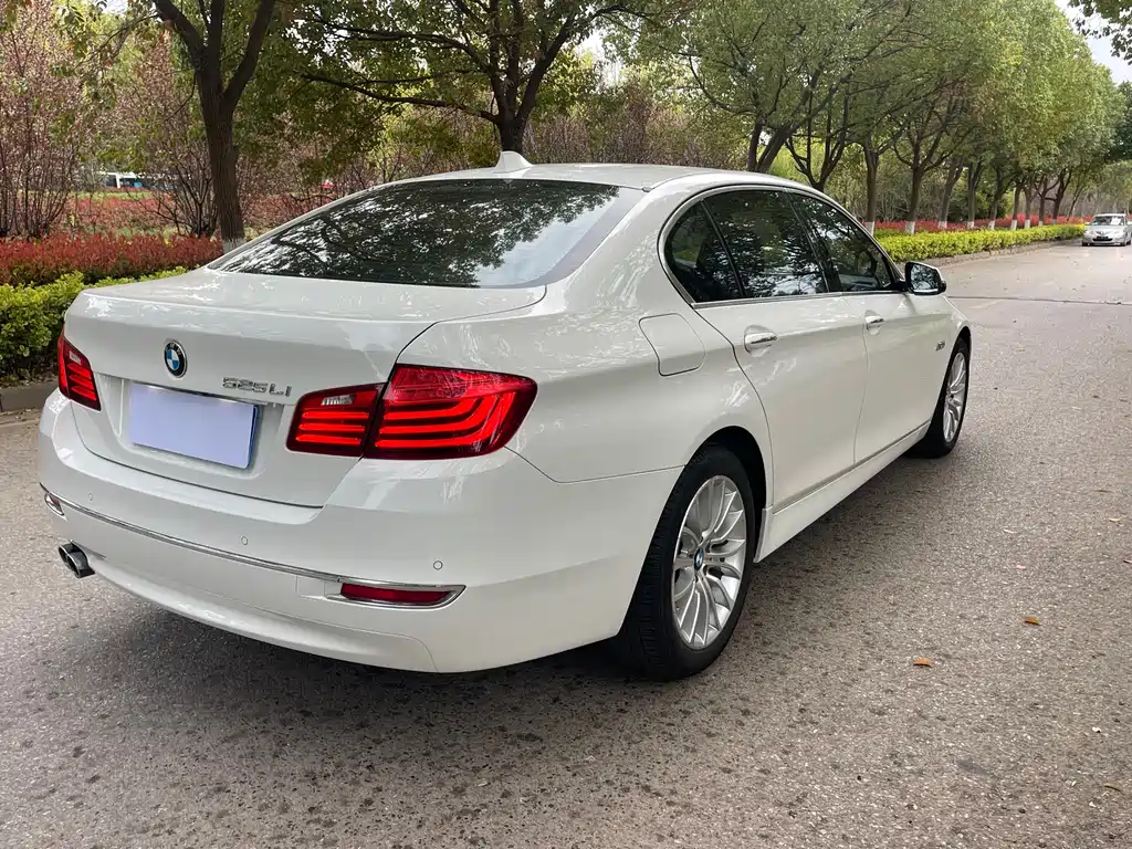 BMW 5 Series 2014 — фото 16
