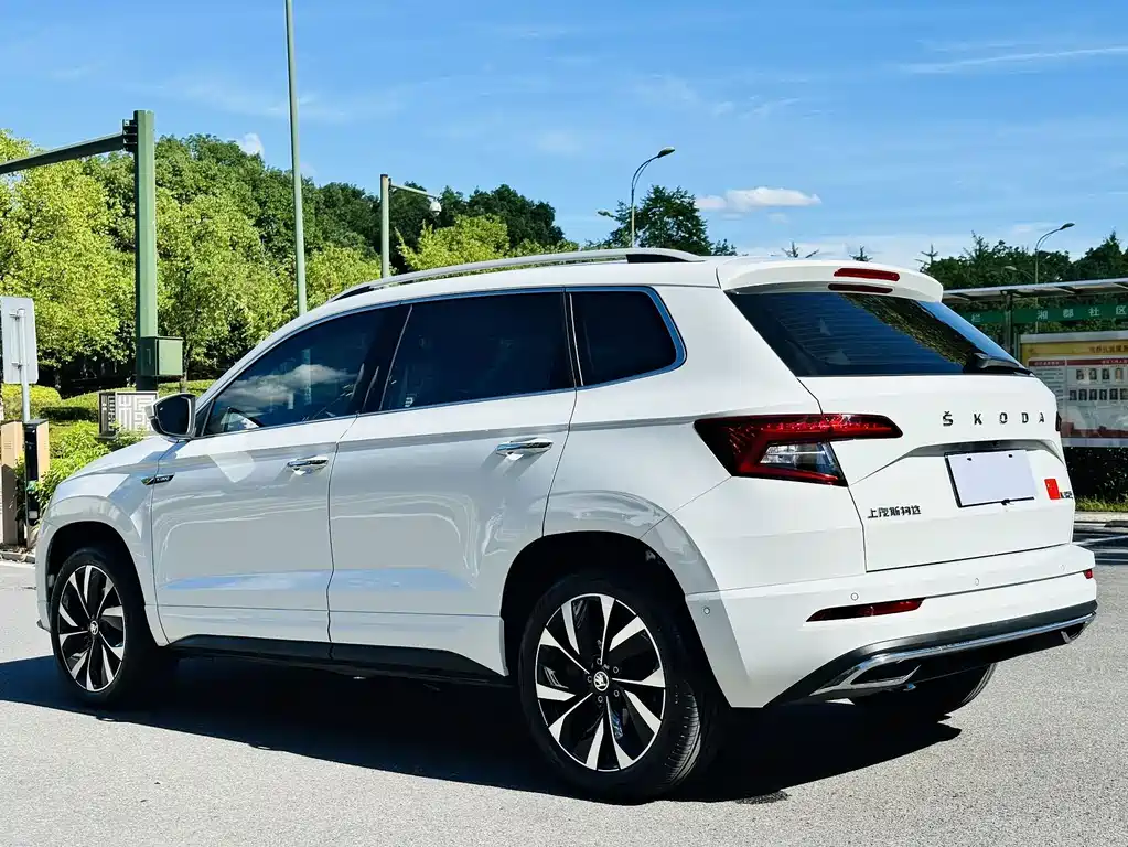 Skoda Karoq 2023 — фото 14