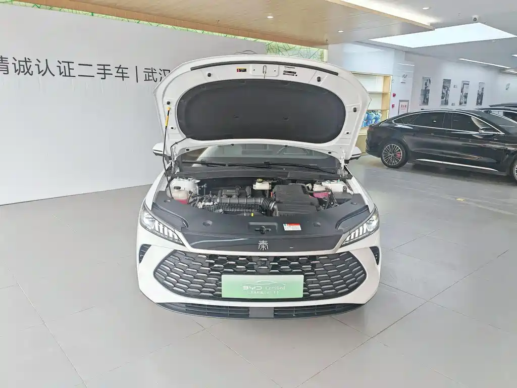 BYD Qin PLUS 2025 — фото 18