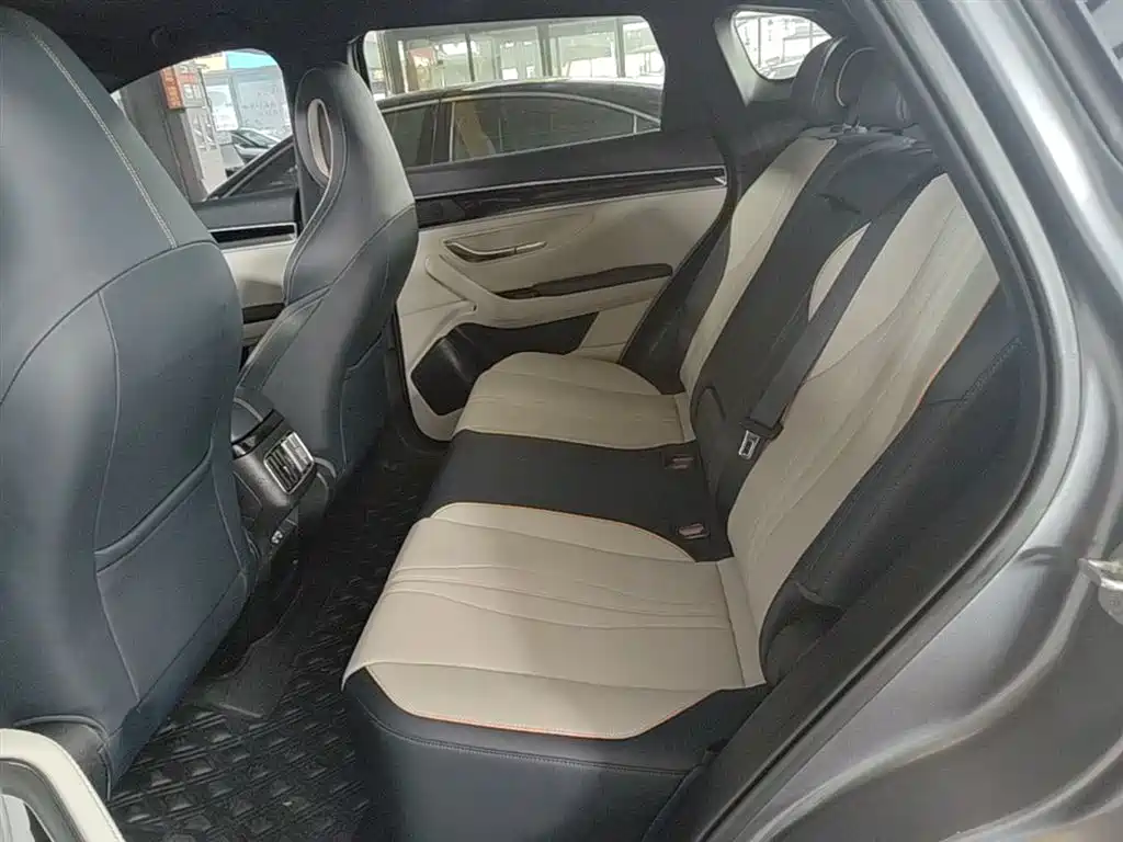 BYD PLUS New Energy 2023 — фото 17