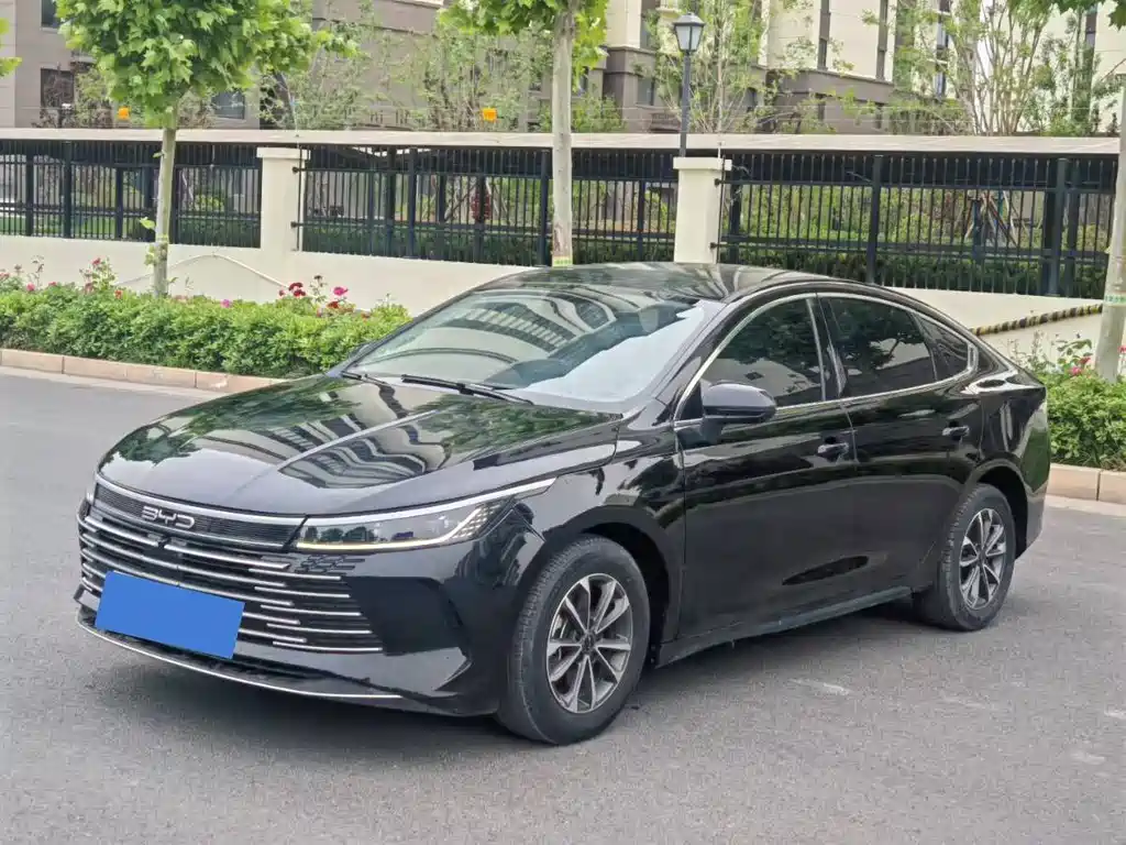 BYD Destroyer 05 2024