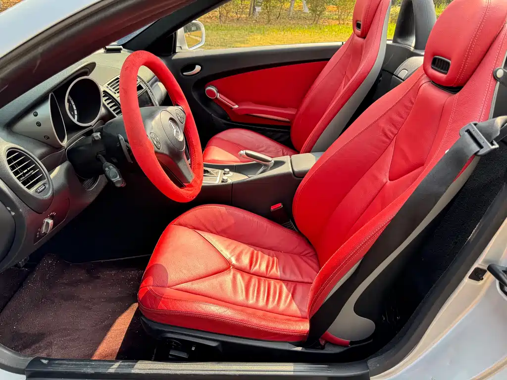 Mercedes-Benz SLK-Class 2009 — фото 21