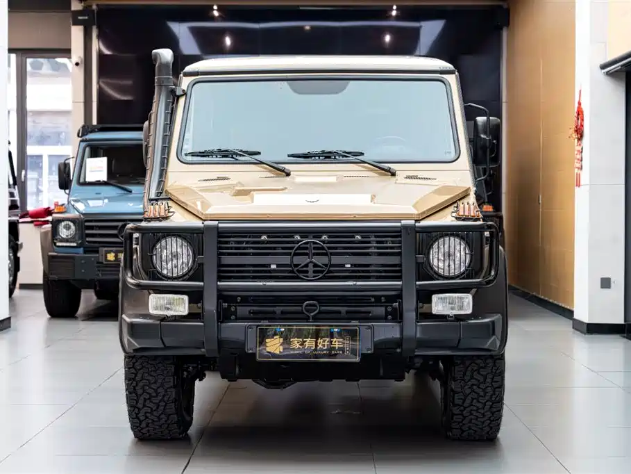 Mercedes-Benz G-Class 2010 — фото 2